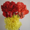 fall carnations